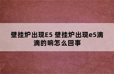 壁挂炉出现E5 壁挂炉出现e5滴滴的响怎么回事